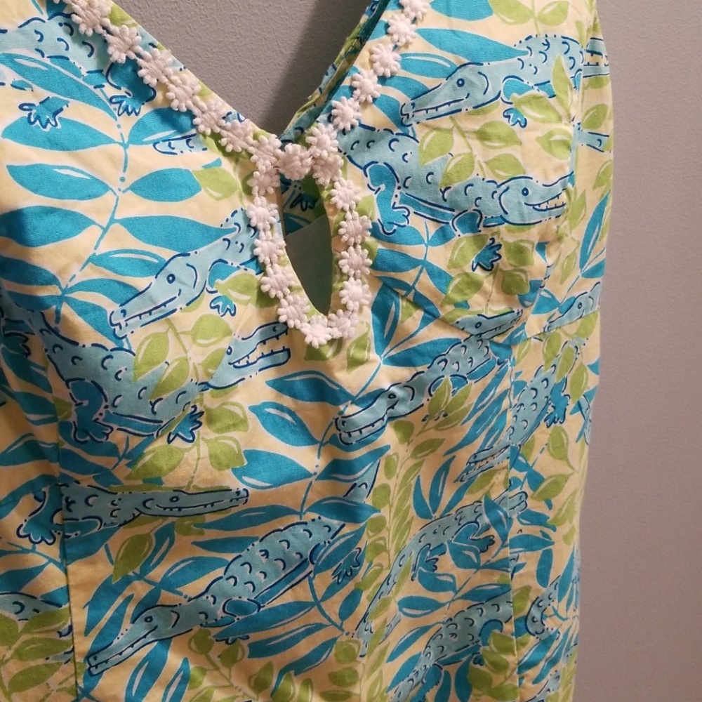 Lily pulitzer dress